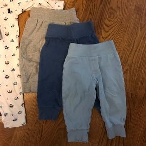 Boys 9-12 mo Koala Baby pants